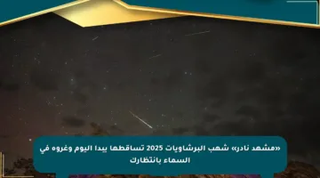 «مشهد نادر» شهب البرشاويات 2025 تساقطها يبدأ اليوم وغروه في السماء بانتظارك
